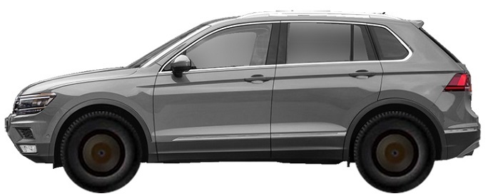 Volkswagen Tiguan II (MQB) (2017-2018) 2.0 TSI 4motion